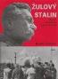 Detail knihyŽulový Stalin. Osudy pomníku a jeho autora