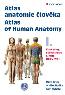 Detail knihyAtlas anatomie člověka I. Končetiny, stěna trupu / Atlas of Human