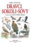Detail knihyDravci, sokoli a sovy v ilustracích Pavla Procházky