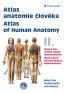 Detail knihyAtlas anatomie člověka II. / Atlas of Human Anantomy II.