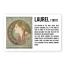 Detail knihyMagnet Alfons Mucha - Laurel