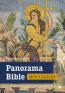 Book detailsPanorama Bible. Nový zákon